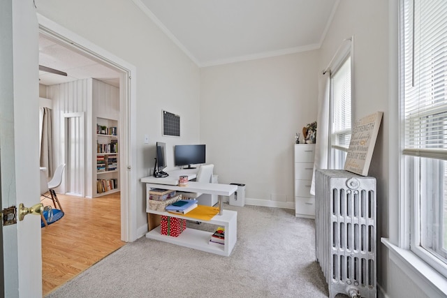 572 Walnut Ave, Elgin, IL 60123 - carpeted bedroom with radiator, ornamental molding, and an office area