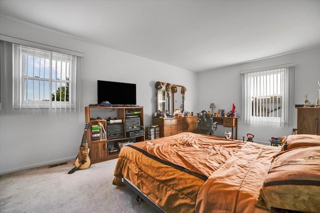731 Viola Ct, Schaumburg, IL 60194 - bedroom with multiple windows and carpet