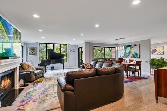 1409 Burr Oak Rd Unit 311A, Hinsdale, IL 60521 - living room featuring recessed lighting and a premium fireplace