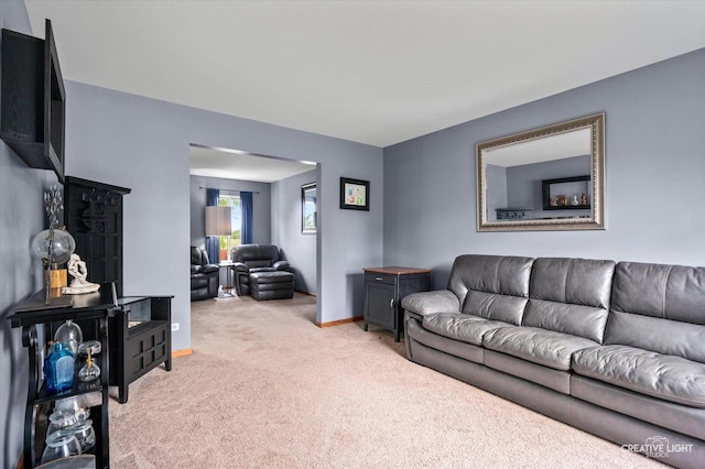 1057 Wright Ct, Plano, IL 60545 - living room with light colored carpet and baseboards