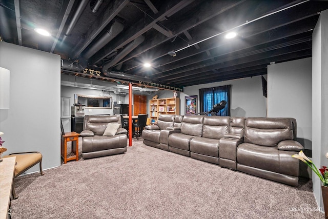 1057 Wright Ct, Plano, IL 60545 - home theater room with carpet floors