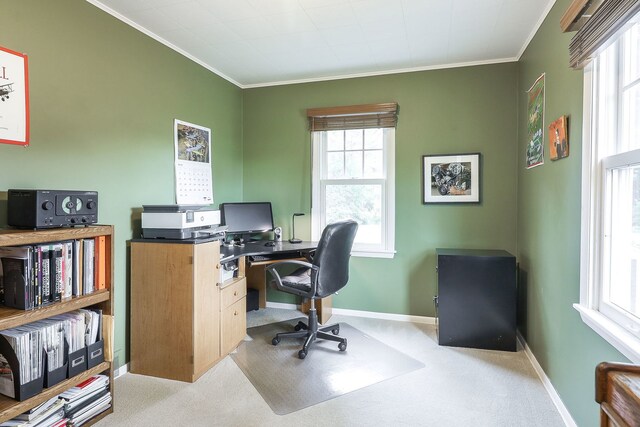 1319 E Harrison Ave, Wheaton, IL 60187 - photo 18