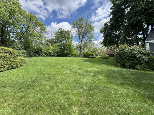 1319 E Harrison Ave, Wheaton, IL 60187 - photo 27