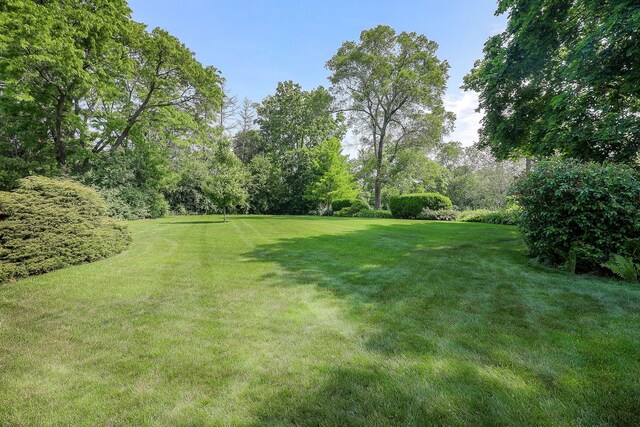 1319 E Harrison Ave, Wheaton, IL 60187 - photo 28
