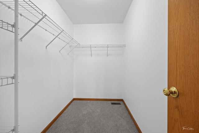 3151 Sawgrass Dr, Aurora, IL 60502 - spacious closet with carpet floors