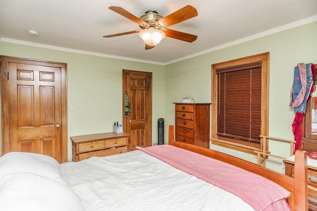 920 Stoddard Ave, Wheaton, IL 60187 - photo 20