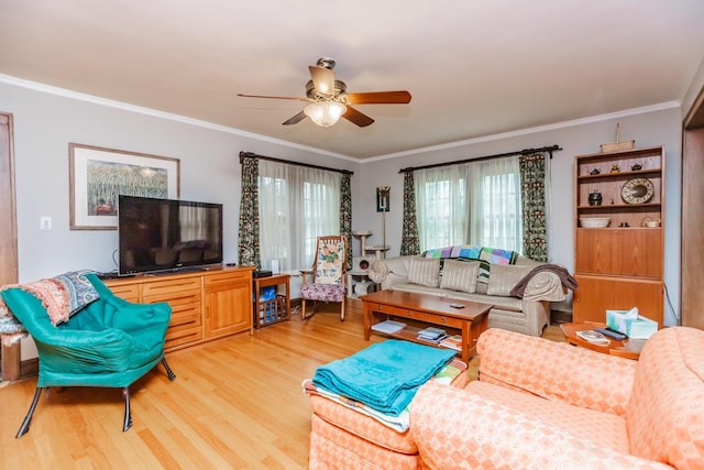 920 Stoddard Ave, Wheaton, IL 60187 - photo 4