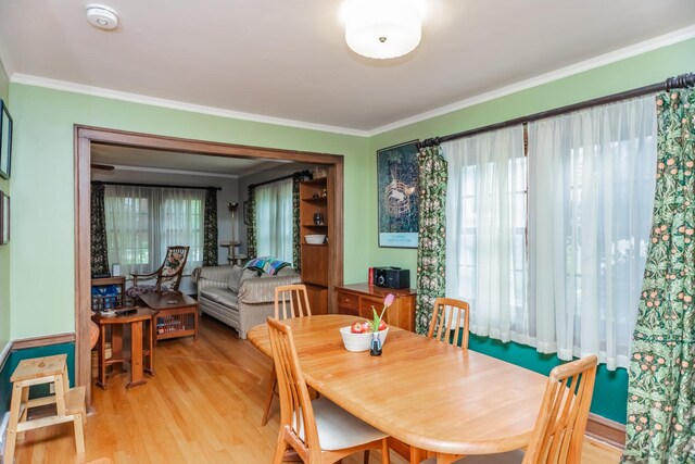 920 Stoddard Ave, Wheaton, IL 60187 - photo 8
