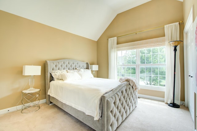1723 Robert Ln, Naperville, IL 60564 - photo 23