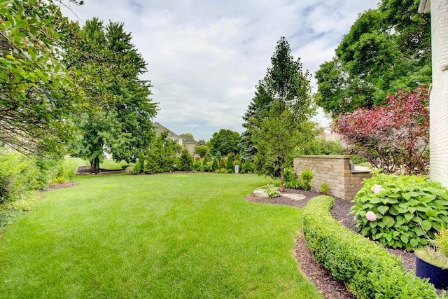 1723 Robert Ln, Naperville, IL 60564 - photo 41