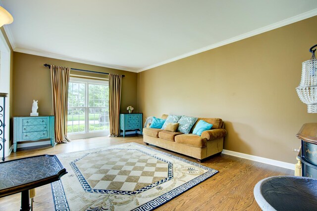 1723 Robert Ln, Naperville, IL 60564 - photo 9