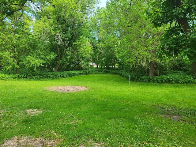 2820 S Brooks Island Rd, Oregon, IL 61061 - view of grassy yard