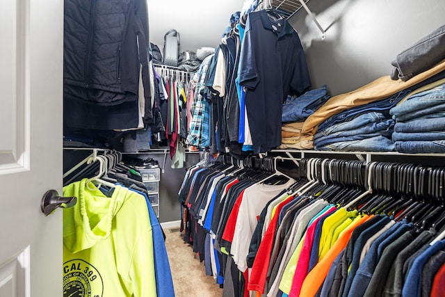 15826 Chippewa Ln, Manhattan, IL 60442 - walk in closet featuring carpet flooring