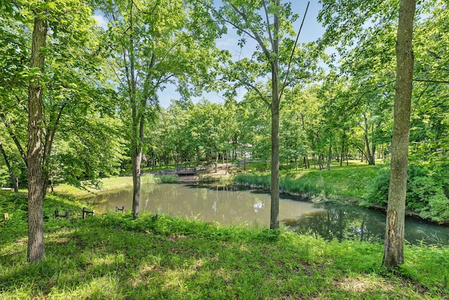 3085 W Southmor Rd, Morris, IL 60450 - water view