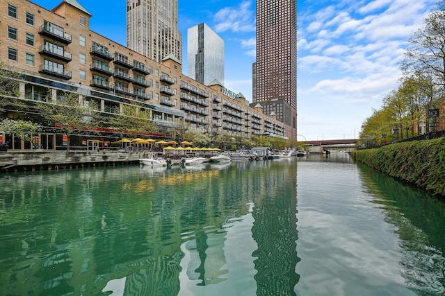 440 N Mcclurg Ct Unit 301, Chicago, IL 60611 - water view featuring nearby urban area