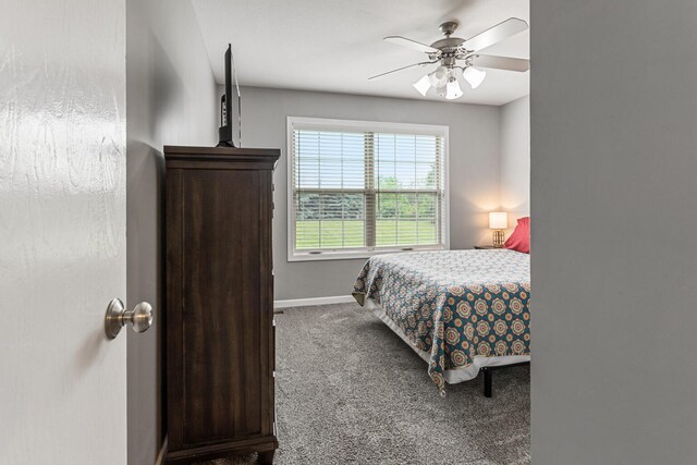 903 Bergamot St, Savoy, IL 61874 - photo 18