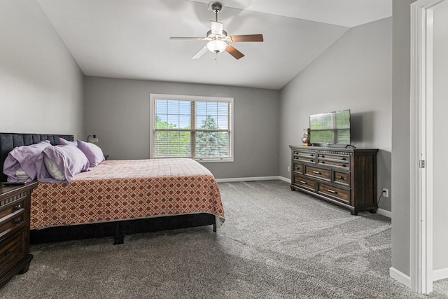 903 Bergamot St, Savoy, IL 61874 - photo 24