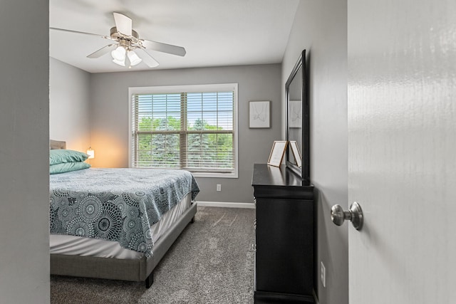903 Bergamot St, Savoy, IL 61874 - photo 34