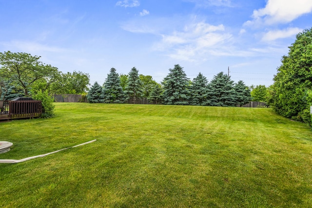 903 Bergamot St, Savoy, IL 61874 - photo 48