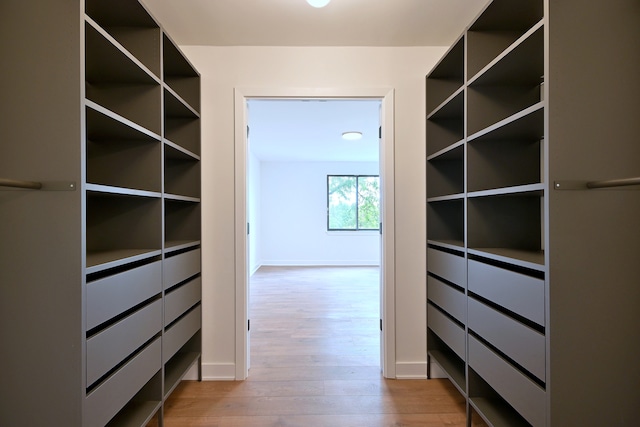 700 Wellington Ave Unit 315, Elk Grove Village, IL 60007 - walk in closet featuring light wood-type flooring