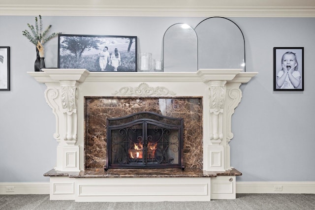 24355 S Arranmore Way, Frankfort, IL 60423 - detailed view of carpet, baseboards, a high end fireplace, and ornamental molding