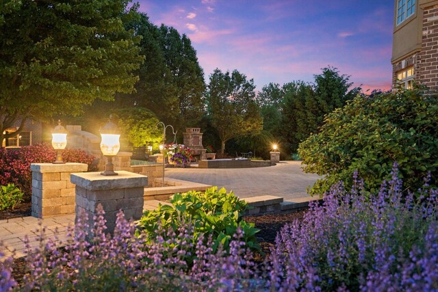24355 S Arranmore Way, Frankfort, IL 60423 - view of patio terrace at dusk