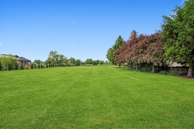 24355 S Arranmore Way, Frankfort, IL 60423 - view of grassy yard