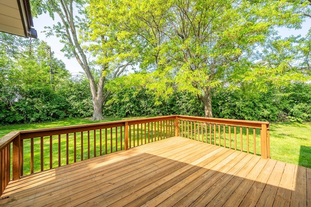 1107 Belair Dr, Darien, IL 60561 - photo 17