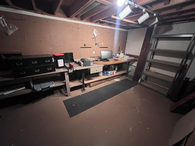 308 Tree Ln, Prophetstown, IL 61277 - unfinished below grade area with a workshop area