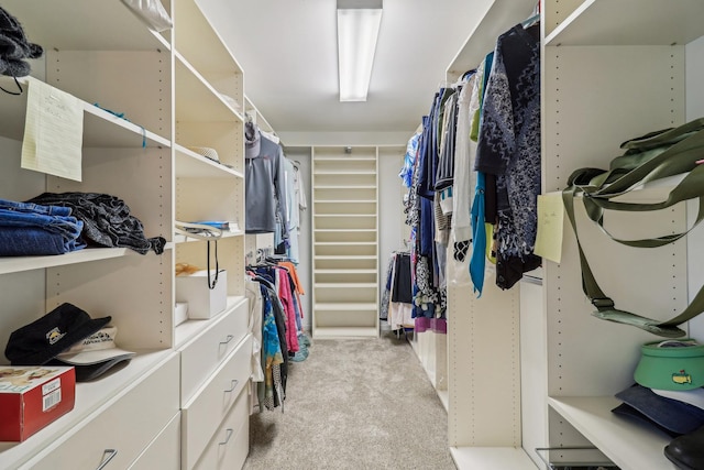 7316 Gleneagle Cir, Lakewood, IL 60014 - walk in closet with light colored carpet