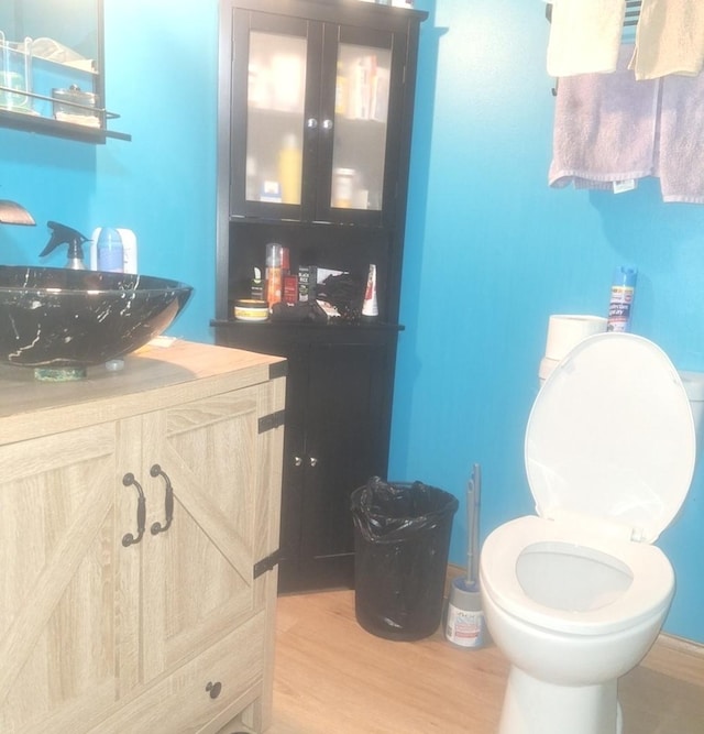 840 Elder Rd Unit A305, Homewood, IL 60430 - half bath featuring vanity, wood finished floors, and toilet