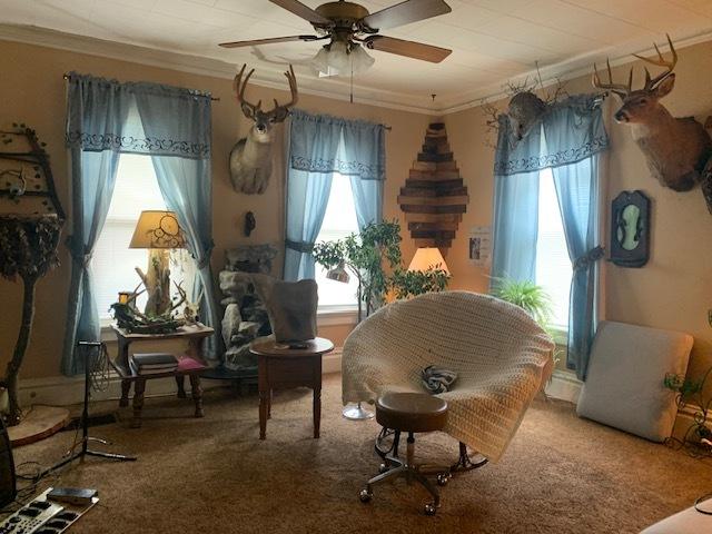 1013 Guion St, Ottawa, IL 61350 - sitting room featuring crown molding, ceiling fan, and carpet