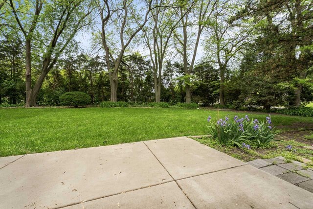 132 Pratt Blvd, Roselle, IL 60172 - view of green lawn featuring a patio area
