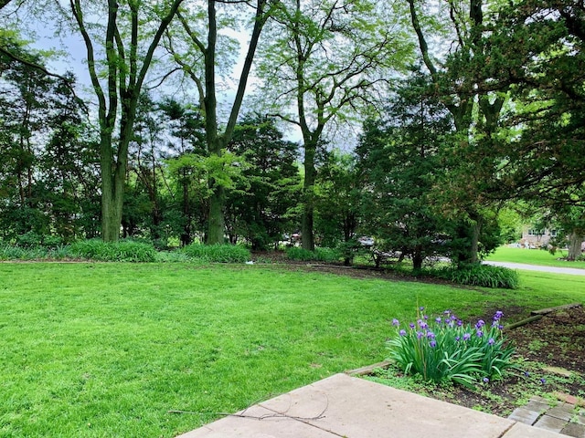 132 Pratt Blvd, Roselle, IL 60172 - view of grassy yard