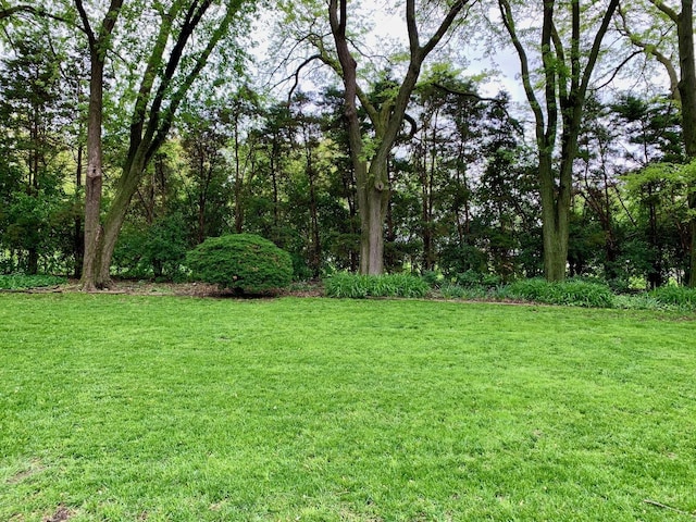 132 Pratt Blvd, Roselle, IL 60172 - view of green lawn
