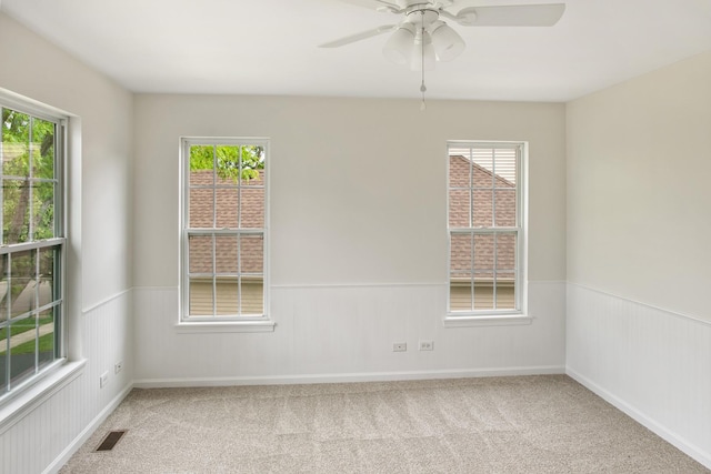 240 Regency Blvd, Sugar Grove, IL 60554 - spare room with healthy amount of natural light, ceiling fan, carpet floors, and a wainscoted wall