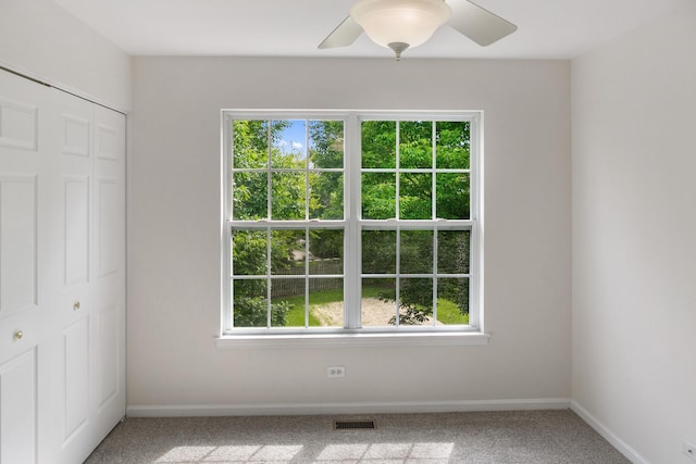 240 Regency Blvd, Sugar Grove, IL 60554 - unfurnished bedroom featuring multiple windows, carpet, baseboards, and a closet