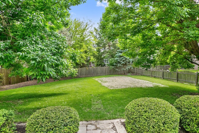 240 Regency Blvd, Sugar Grove, IL 60554 - view of yard