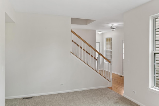 240 Regency Blvd, Sugar Grove, IL 60554 - stairs with carpet flooring and baseboards