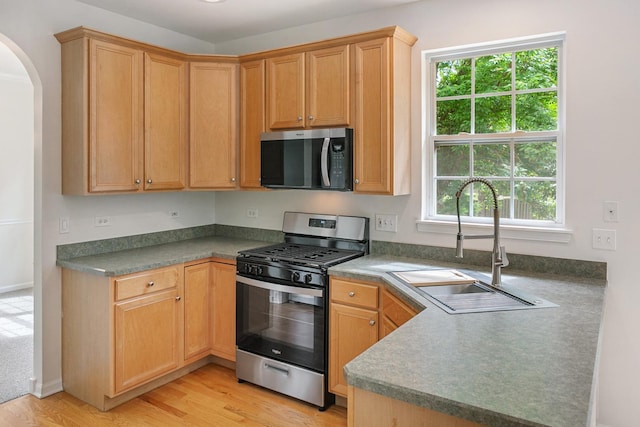 240 Regency Blvd, Sugar Grove, IL 60554 - kitchen featuring appliances with stainless steel finishes, arched walkways, a sink, and healthy amount of natural light