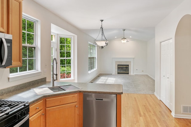 240 Regency Blvd, Sugar Grove, IL 60554 - kitchen with appliances with stainless steel finishes, a sink, ceiling fan, a peninsula, and light wood finished floors