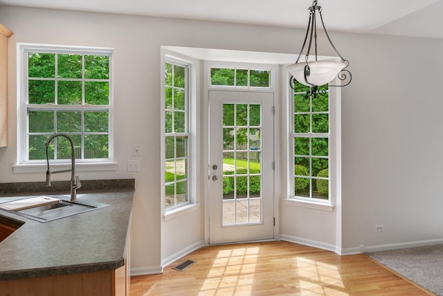 240 Regency Blvd, Sugar Grove, IL 60554 - entryway featuring a sink, light wood finished floors, baseboards, and plenty of natural light
