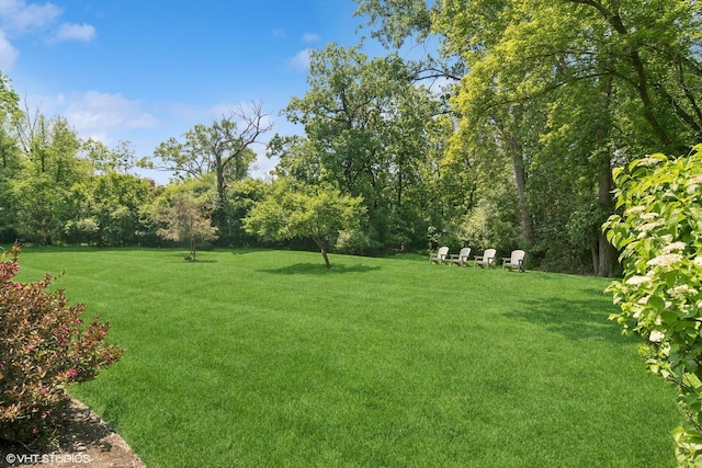 477 Eton Dr, North Barrington, IL 60010 - photo 42