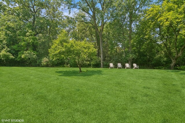 477 Eton Dr, North Barrington, IL 60010 - photo 43