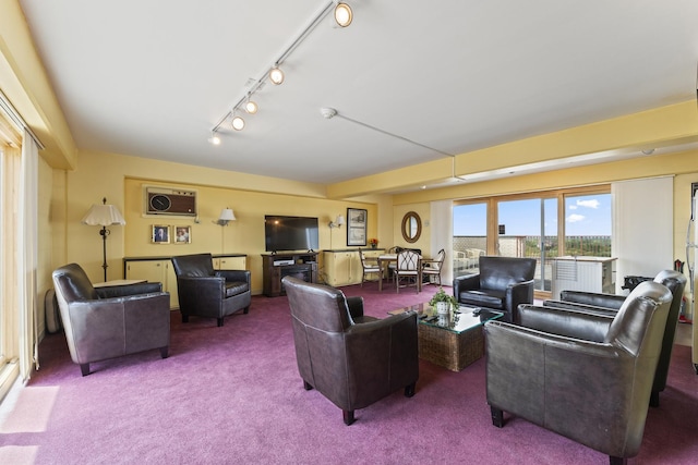 141 N La Grange Rd Unit 303, La Grange, IL 60525 - carpeted living room featuring track lighting and a wall mounted air conditioner