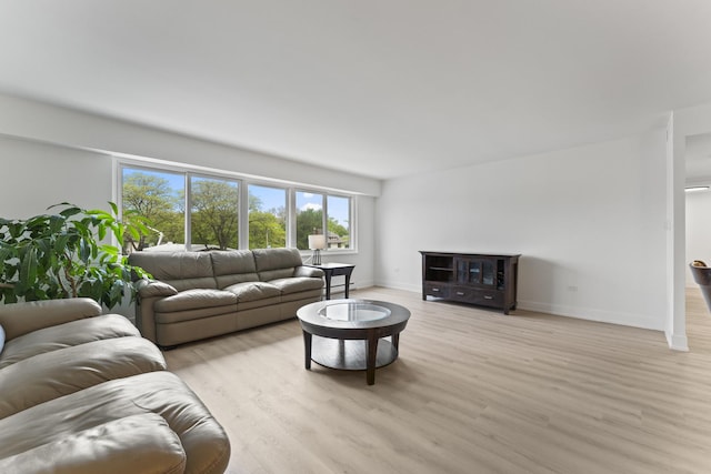 141 N La Grange Rd Unit 303, La Grange, IL 60525 - living area featuring light wood-type flooring and baseboards