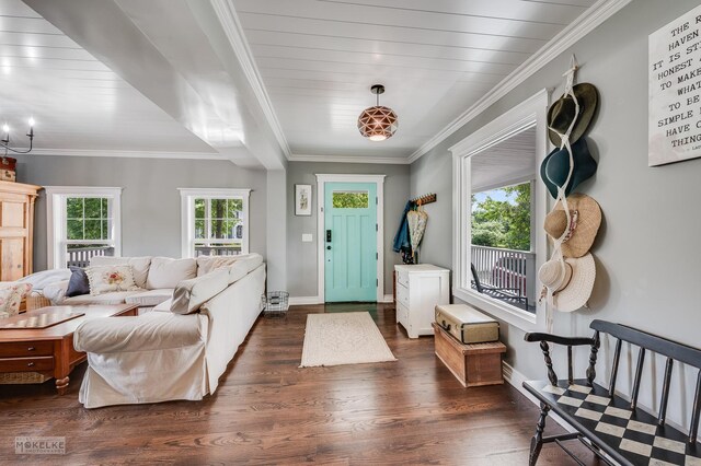 13 N Cannonball Trl, Bristol, IL 60512 - entryway featuring dark wood-style flooring, baseboards, and ornamental molding