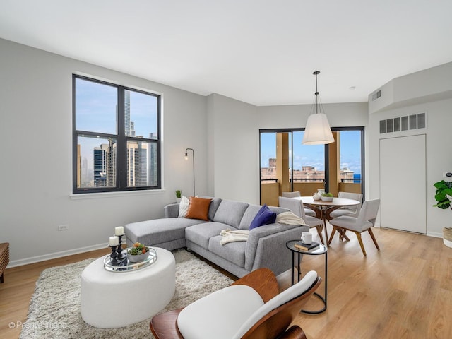 1464 S Michigan Ave Unit 2201, Chicago, IL 60605 - living room featuring light wood-type flooring and baseboards