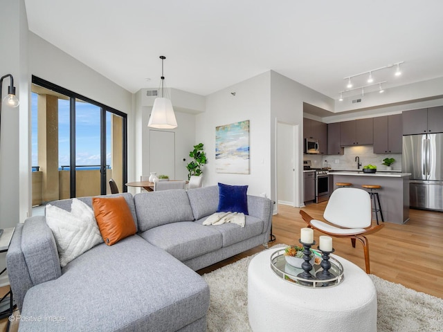 1464 S Michigan Ave Unit 2201, Chicago, IL 60605 - living area featuring light wood-type flooring and rail lighting