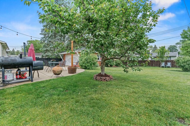 925 S Chestnut Ave, Arlington Heights, IL 60005 - view of yard with a patio area